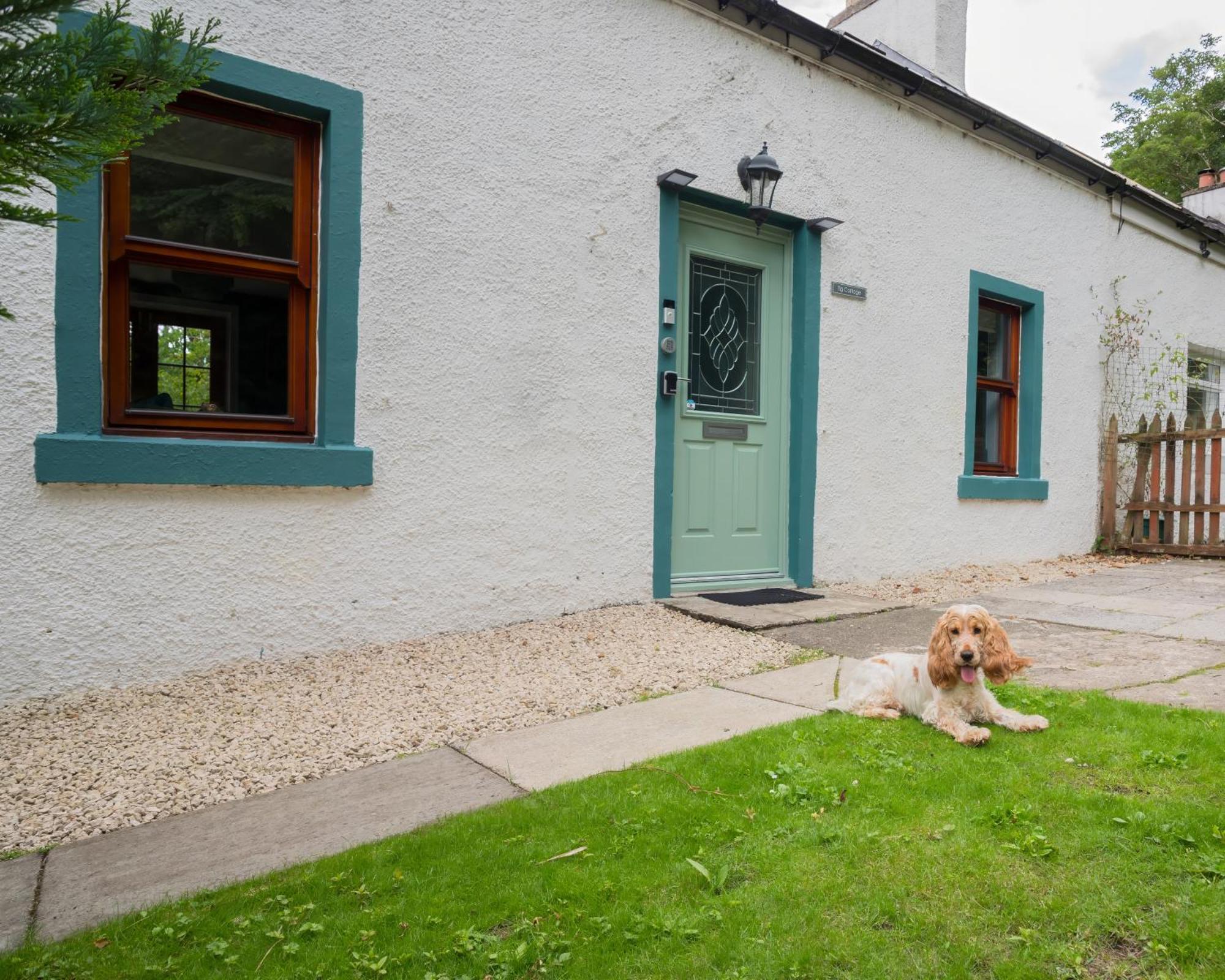 Tig Cottage - A Rural, Quirky, Pet Friendly 2 Bedroom Cottage Near Ballantrae Экстерьер фото